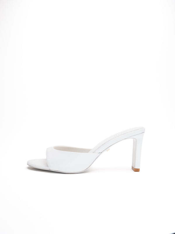 The Kelly - White